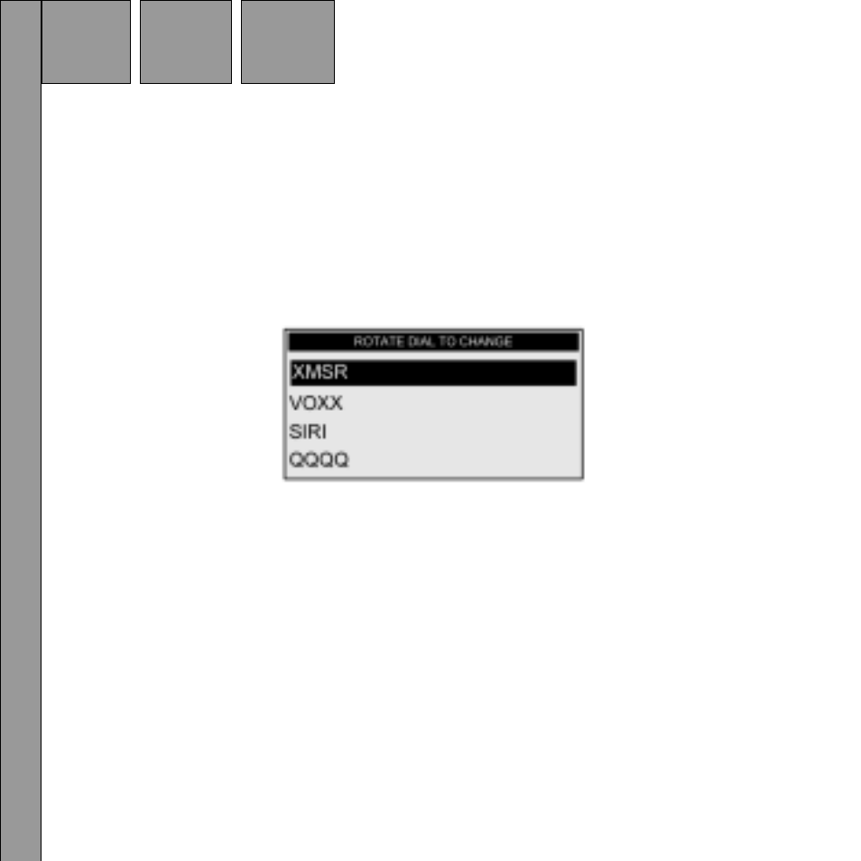 Info extras | Audiovox Satellite Radio Receiver User Manual | Page 36 / 64