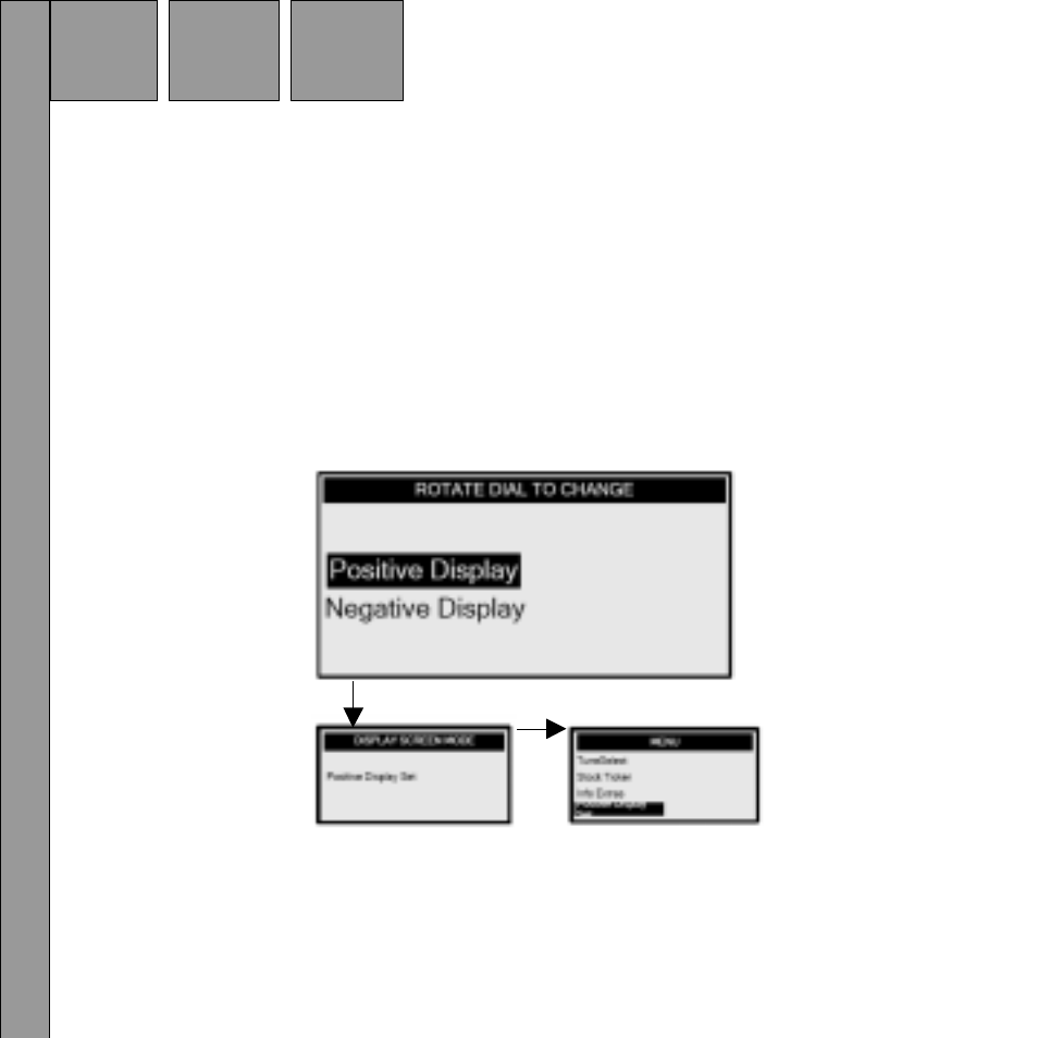 Audiovox Satellite Radio Receiver User Manual | Page 40 / 64