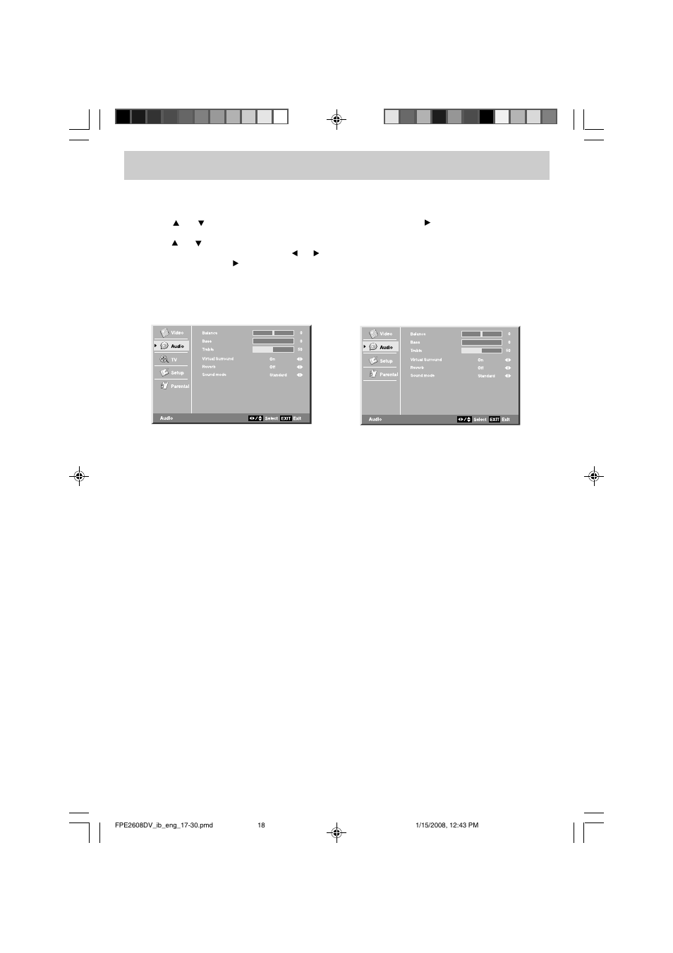 Tv setup, Audio menu | Audiovox FPE2608DV User Manual | Page 19 / 31