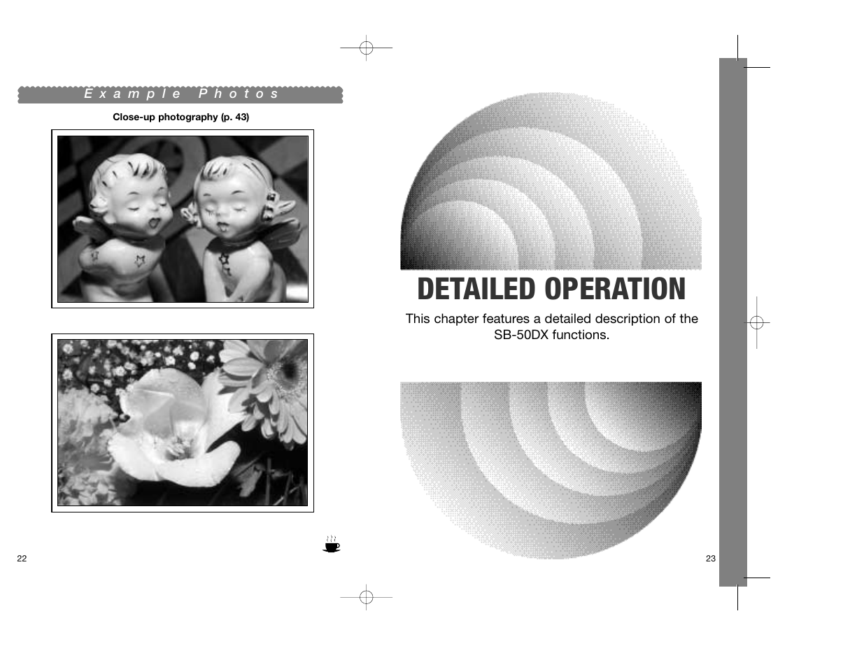 Detailed operation | Nikon SB-50DX User Manual | Page 12 / 39