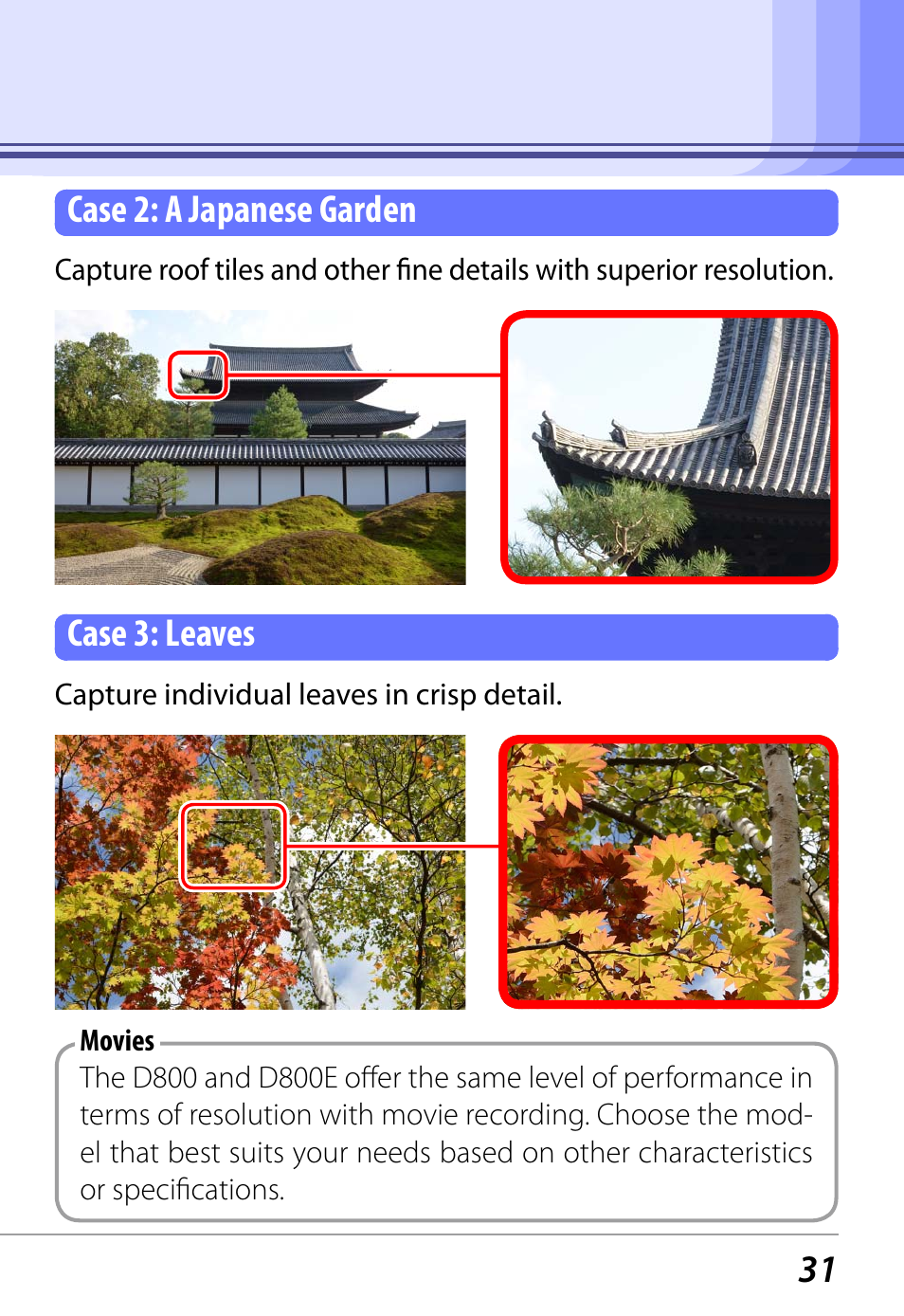 Nikon D800 User Manual | Page 33 / 38