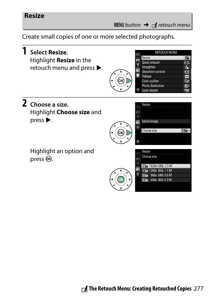 Resize | Nikon D3300 User Manual | Page 297 / 392