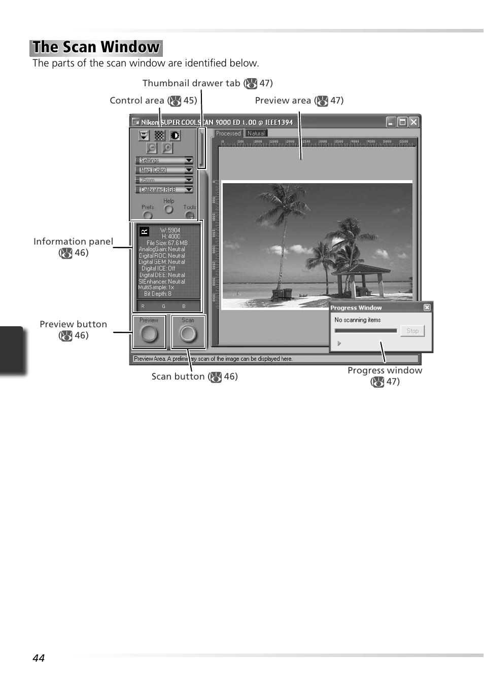 The scan window | Nikon LS-9000 User Manual | Page 53 / 89