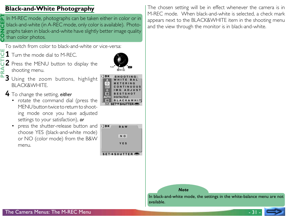 Black-and-white photography | Nikon 950 User Manual | Page 31 / 57