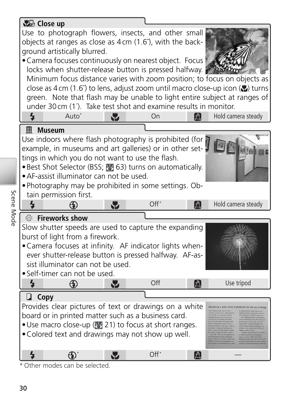 Nikon S2 User Manual | Page 40 / 110