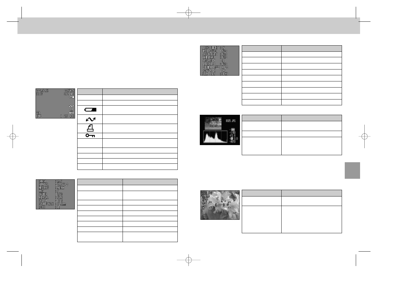 Viewing additional picture information | Nikon 995 User Manual | Page 45 / 91