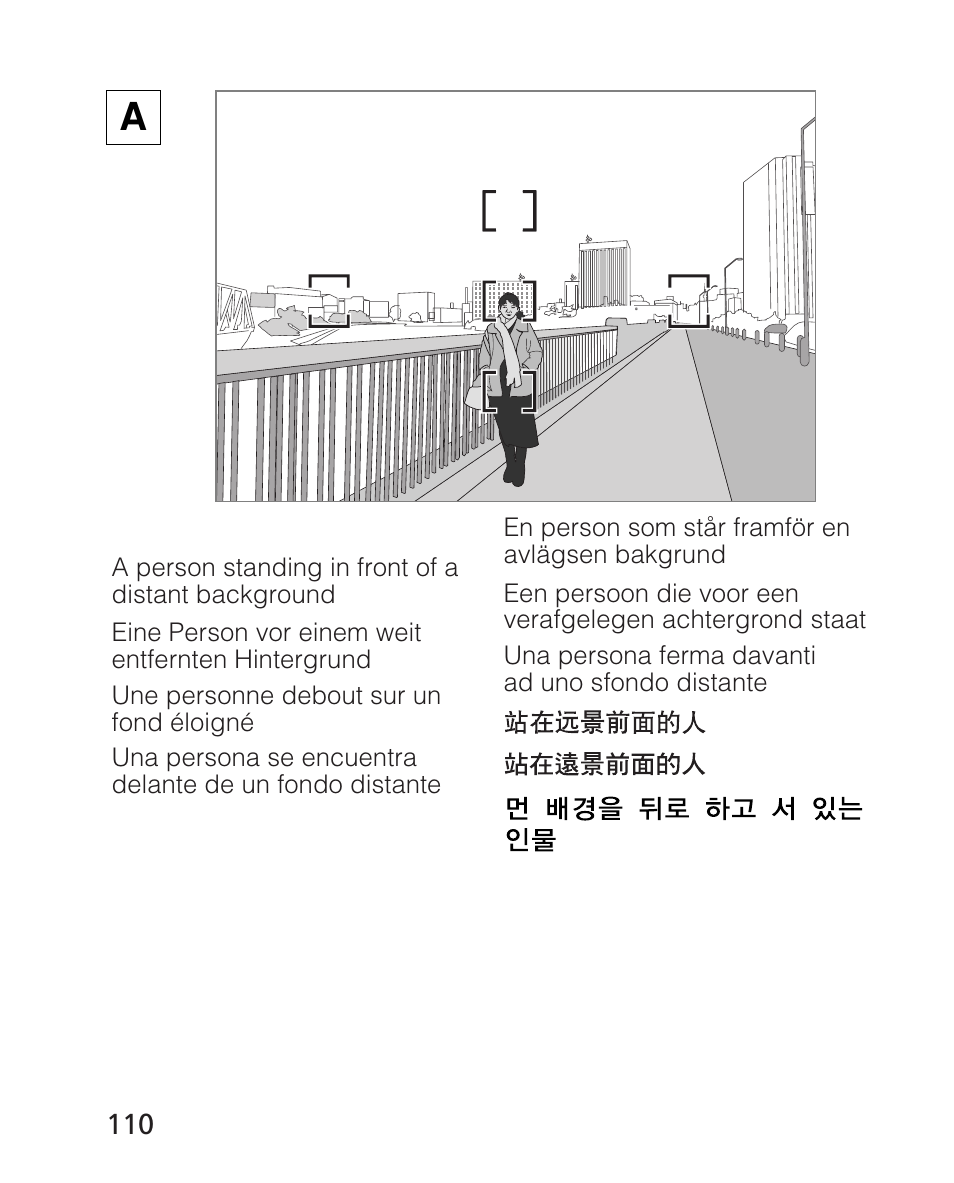 Nikon AF-S 14-24mm f-2.8G ED User Manual | Page 110 / 119