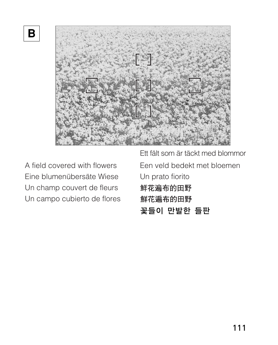 Nikon AF-S 14-24mm f-2.8G ED User Manual | Page 111 / 119