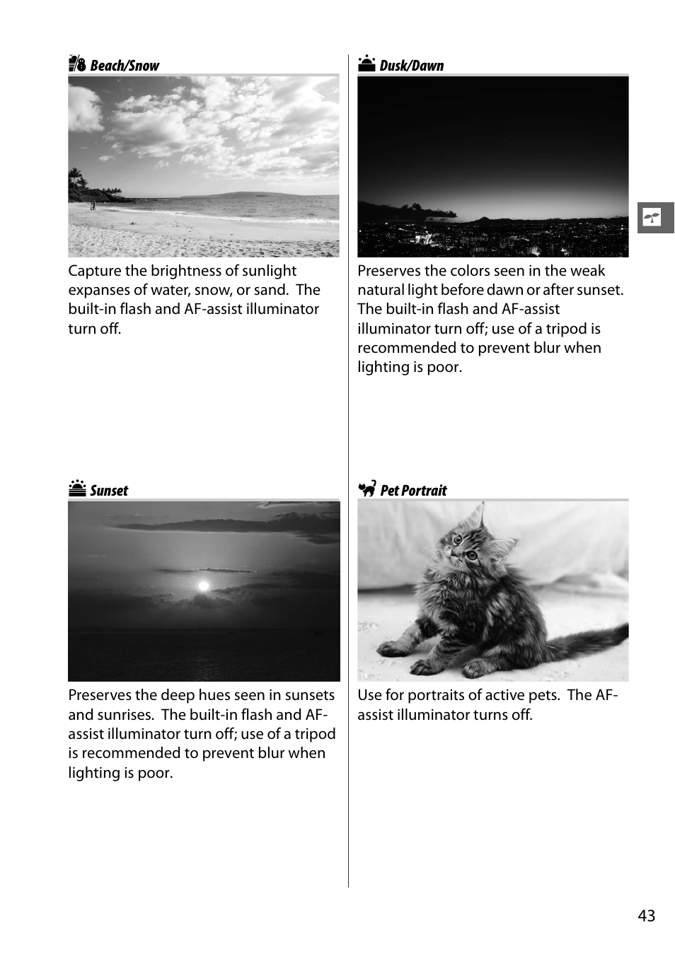 Beach/snow, Sunset, Dusk/dawn | Pet portrait | Nikon D7000 User Manual | Page 63 / 348