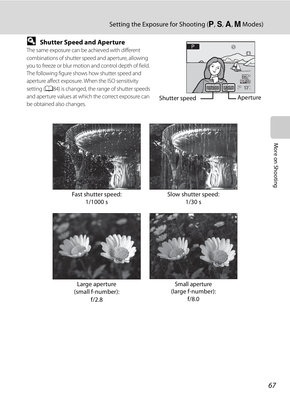 A67) | Nikon COOLPIX-P100 User Manual | Page 79 / 216