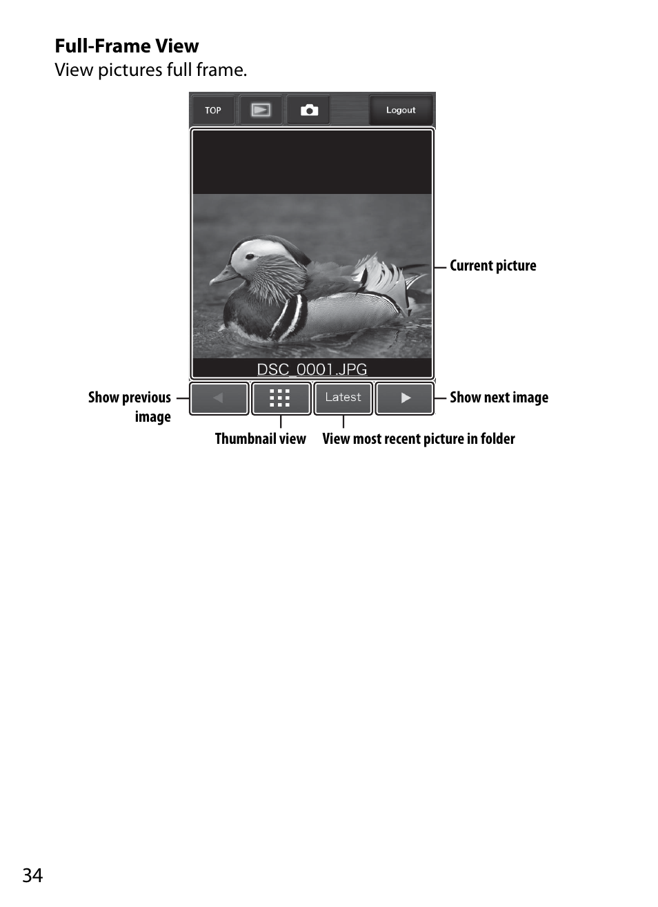 Full-frame view | Nikon D4S User Manual | Page 44 / 100