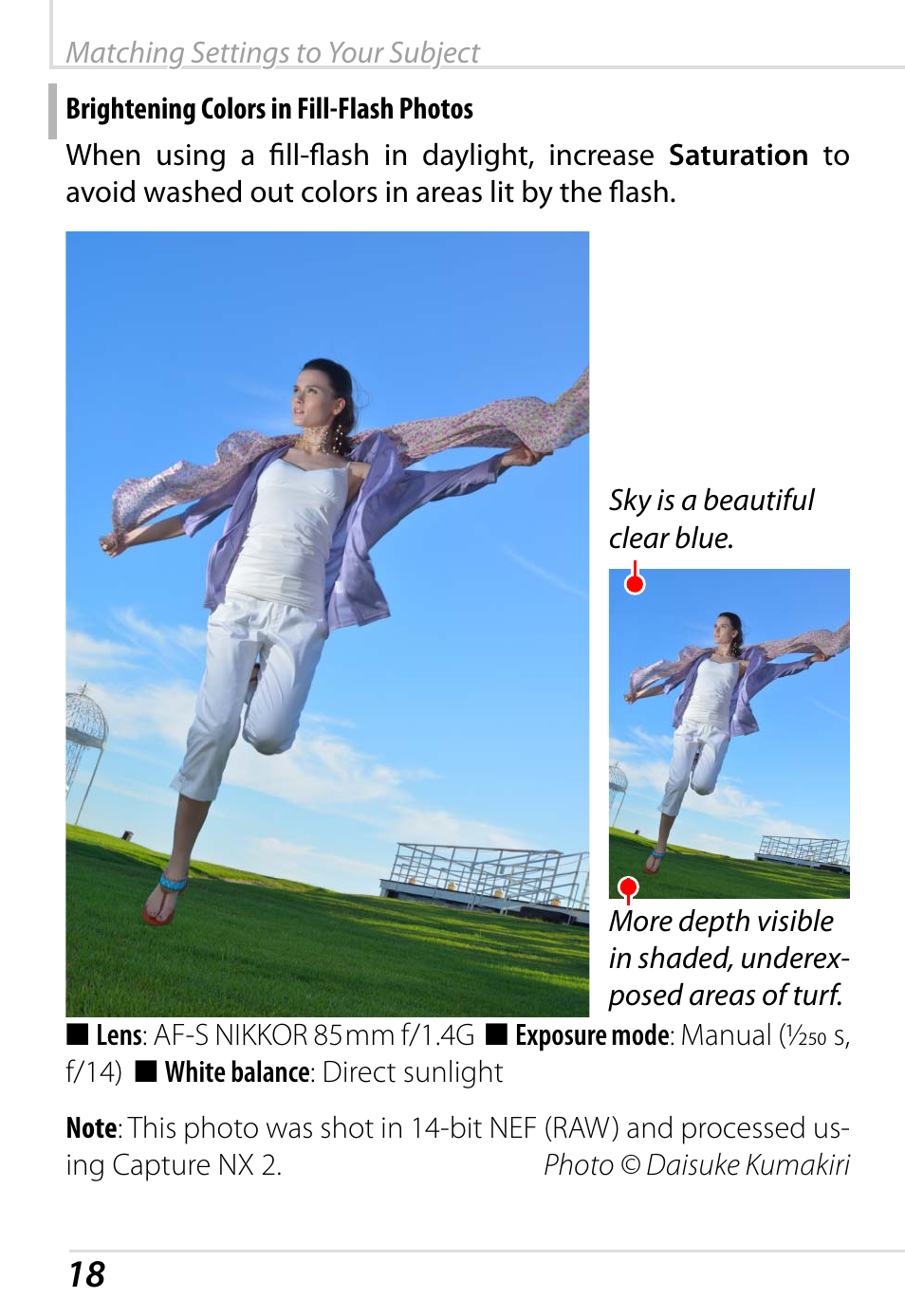 Brightening colors in fill-flash photos | Nikon D800 User Manual | Page 20 / 48
