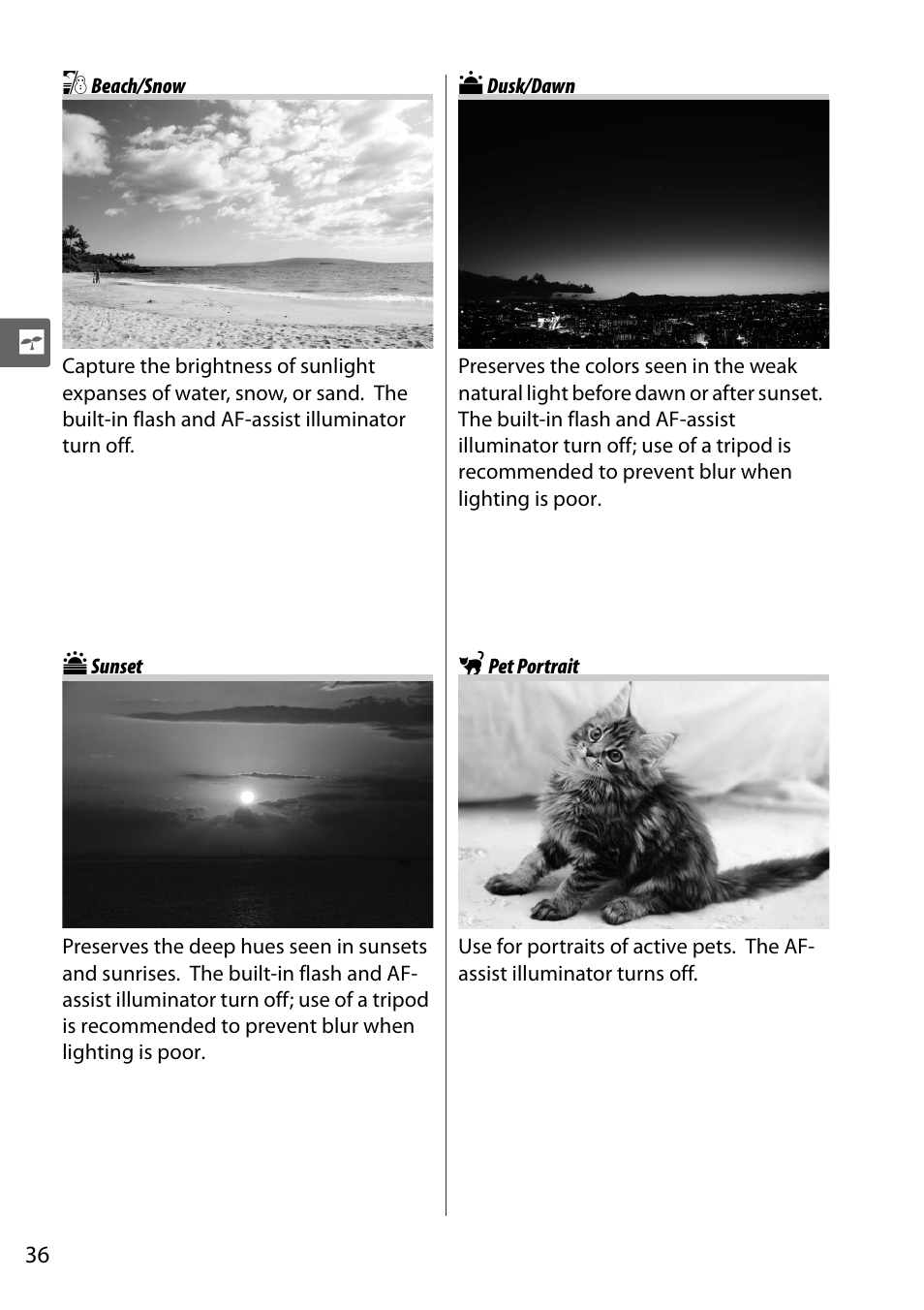 Beach/snow, Sunset, Dusk/dawn | Pet portrait | Nikon D5000 User Manual | Page 54 / 256