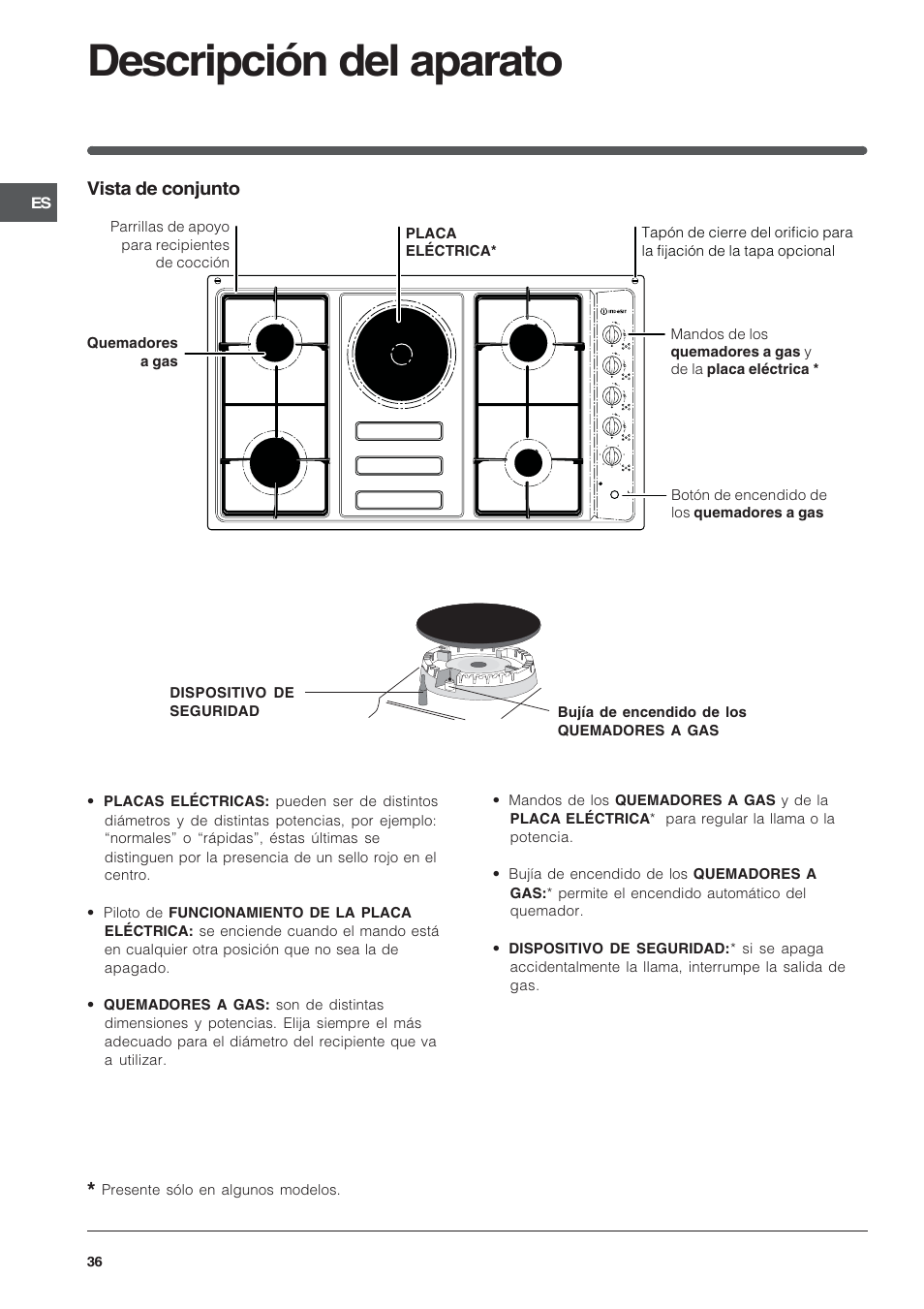 Descripción del aparato, Vista de conjunto | Indesit PI950ASIX User Manual | Page 36 / 60