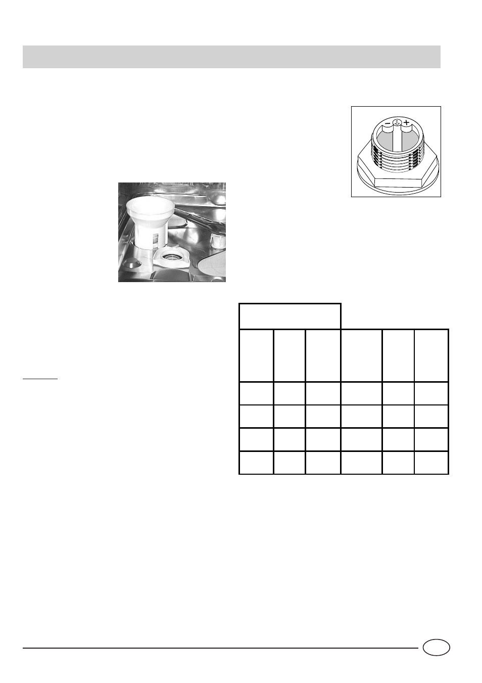 Salt | Indesit IDL40S User Manual | Page 5 / 16