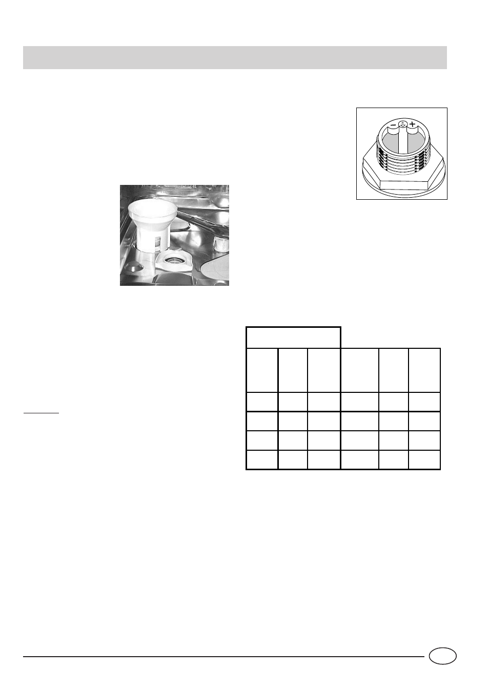 Salt | Indesit IDE44UK User Manual | Page 5 / 16