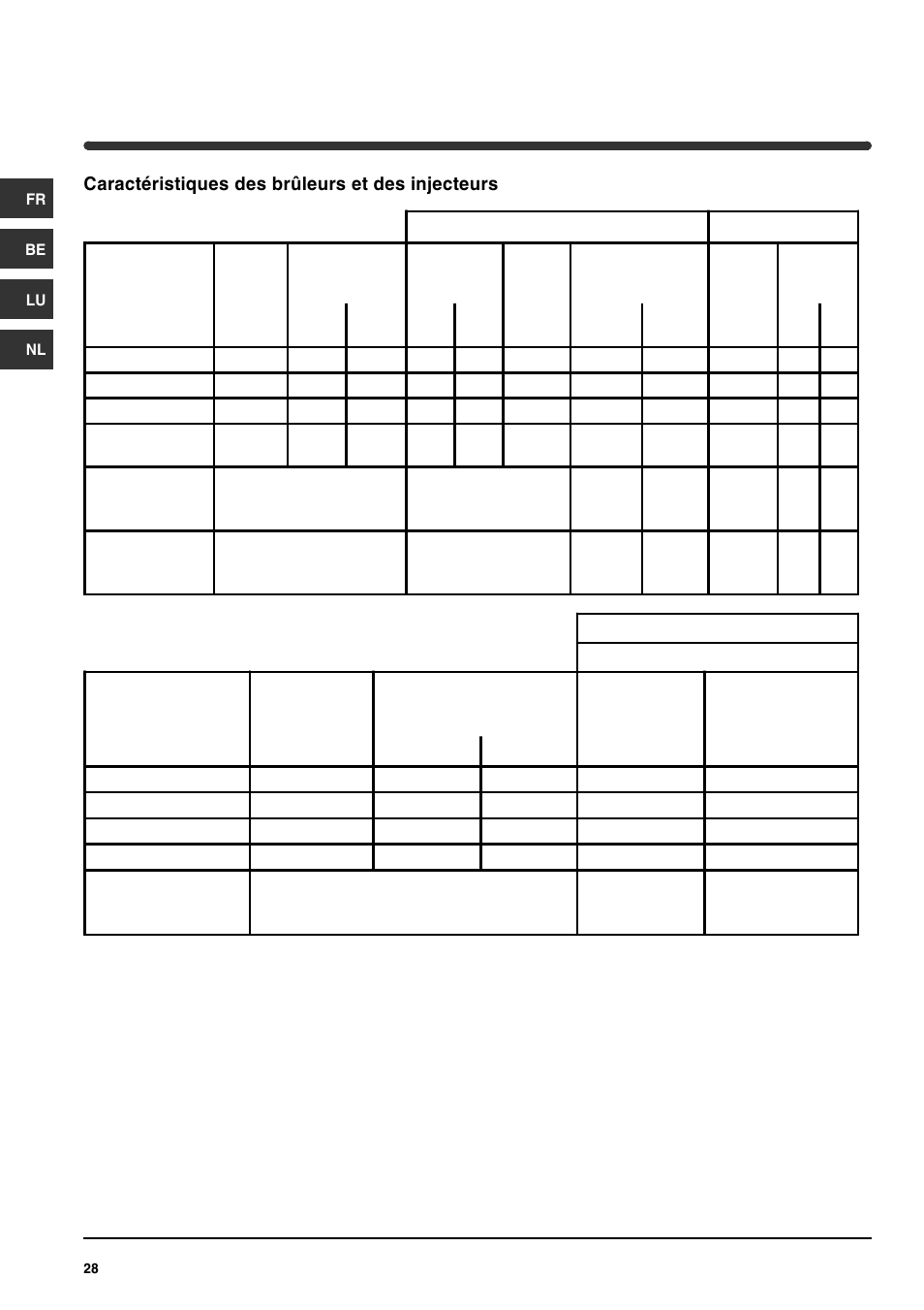 Caractéristiques des brûleurs et des injecteurs | Indesit PI631 [multilanguage] User Manual | Page 28 / 56