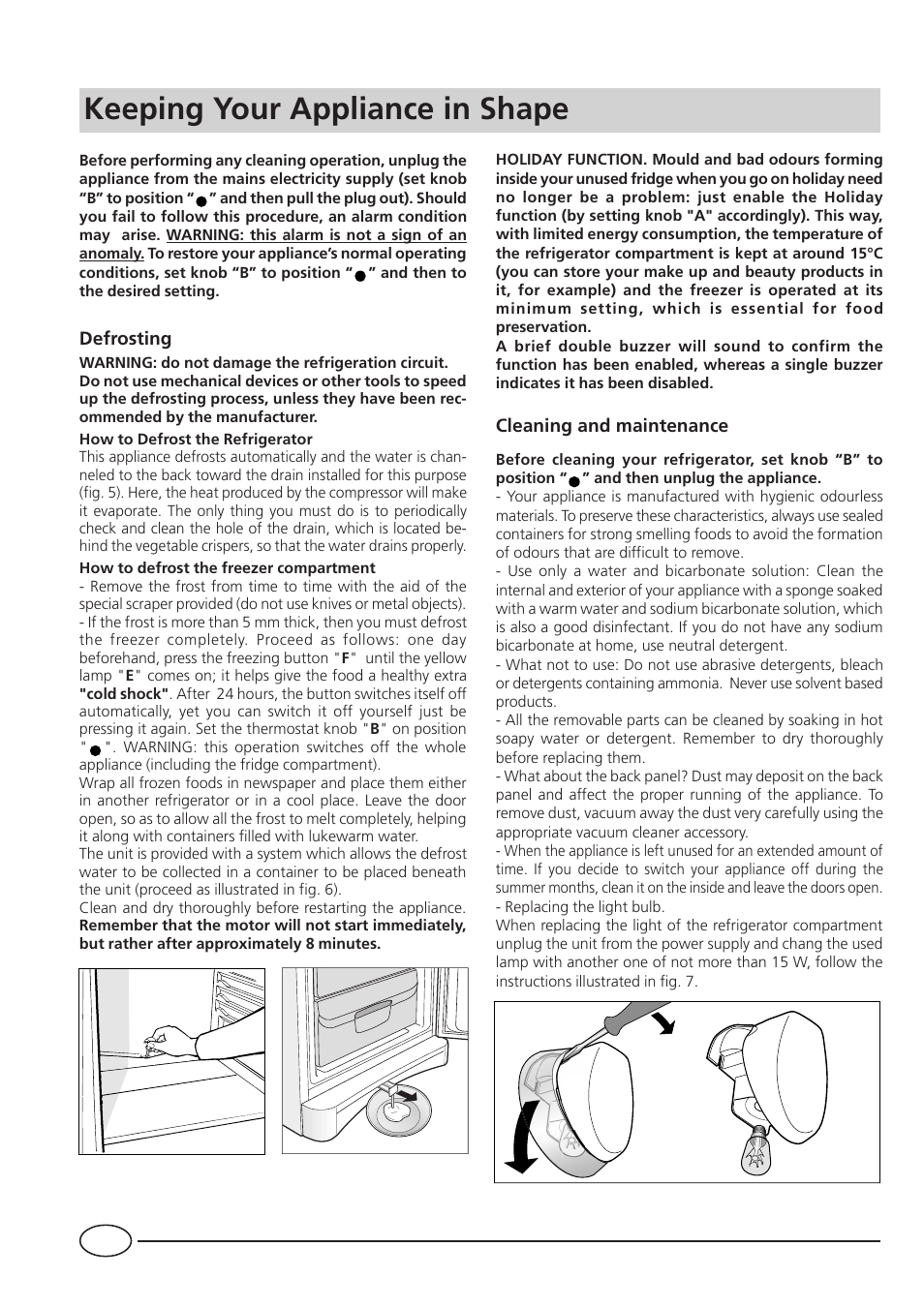 Keeping your appliance in shape | Indesit BA35P User Manual | Page 12 / 16