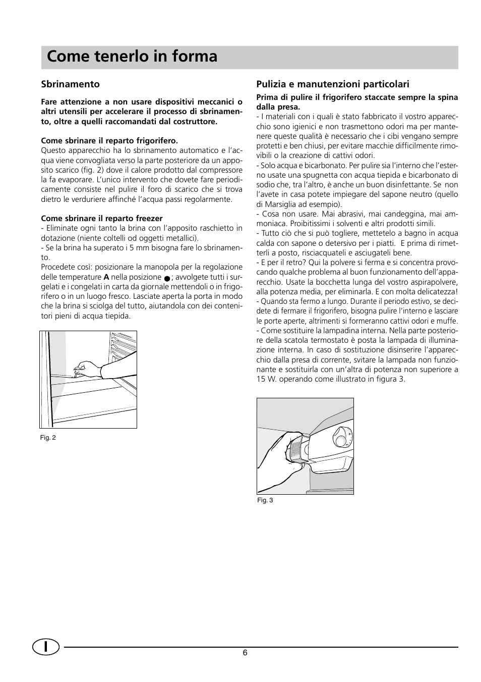 Come tenerlo in forma | Indesit RG2190 User Manual | Page 8 / 72