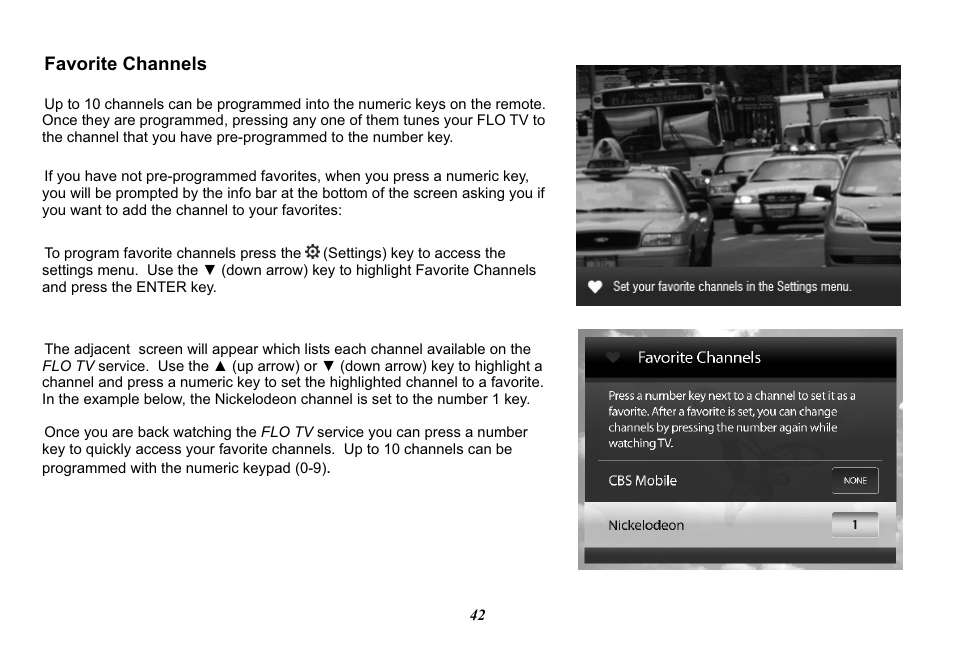 Audiovox Mobile Video 128-8770 User Manual | Page 45 / 52