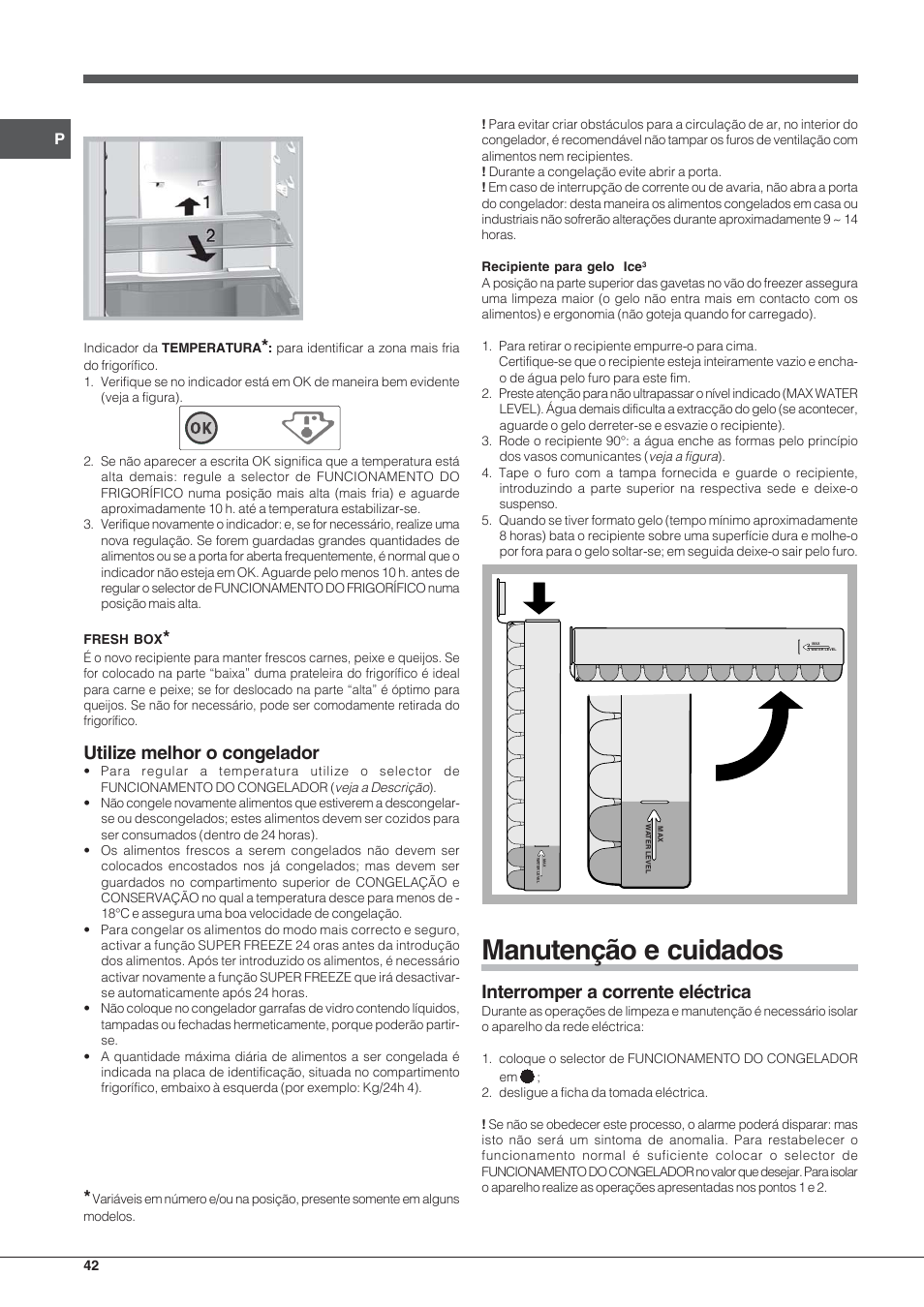 Manutenção e cuidados, Utilize melhor o congelador, Interromper a corrente eléctrica | Indesit PBAA-33-F-X User Manual | Page 42 / 52