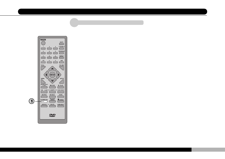 Audiovox DVD1500 User Manual | Page 47 / 91