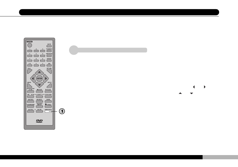 Audiovox DVD1500 User Manual | Page 49 / 91