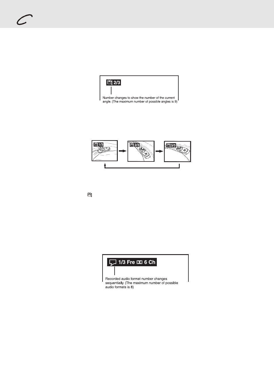 Playing a disc, Angle selection, Audio selection | Audiovox DVD Home Theater System User Manual | Page 20 / 41