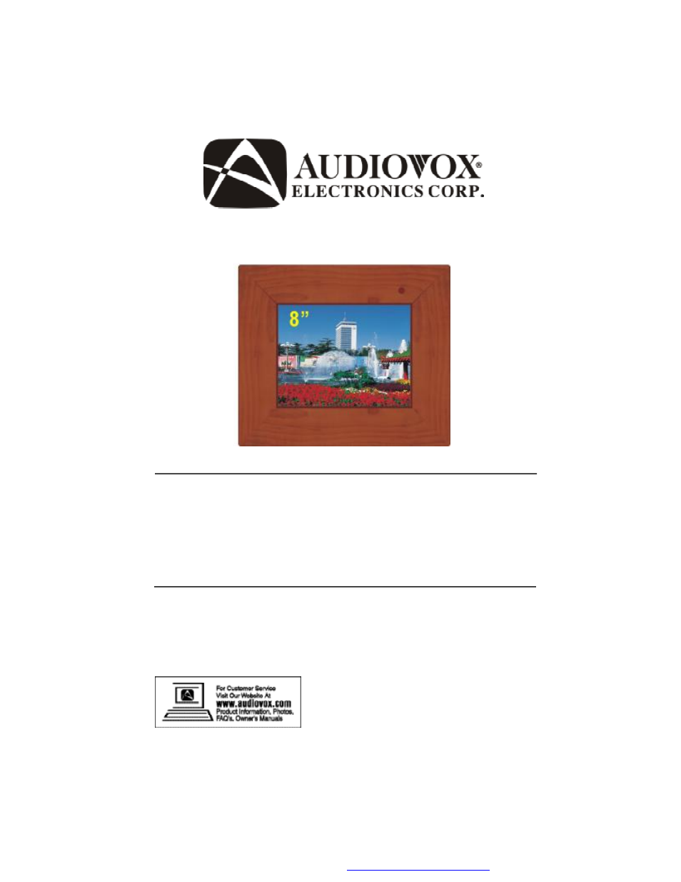 Audiovox DPF800 User Manual | 19 pages