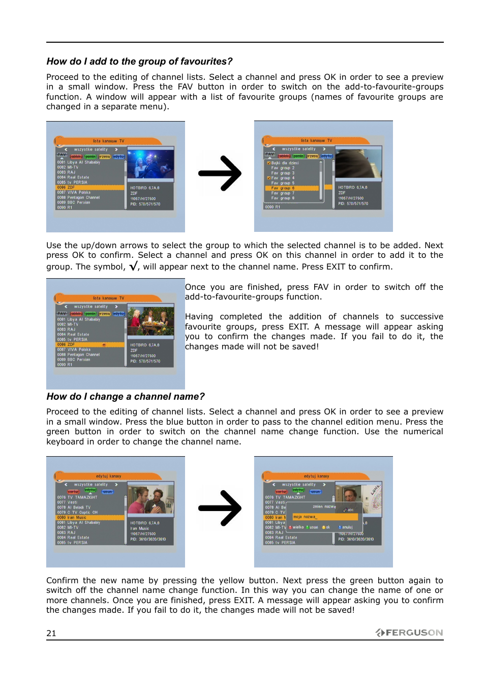 How do i add to the group of favourites, How do i change a channel name | Ferguson FK-1000 User Manual | Page 21 / 28