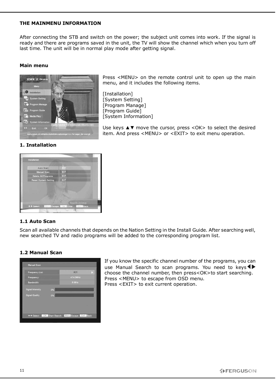 Ferguson FT-8300 HD User Manual | Page 11 / 21