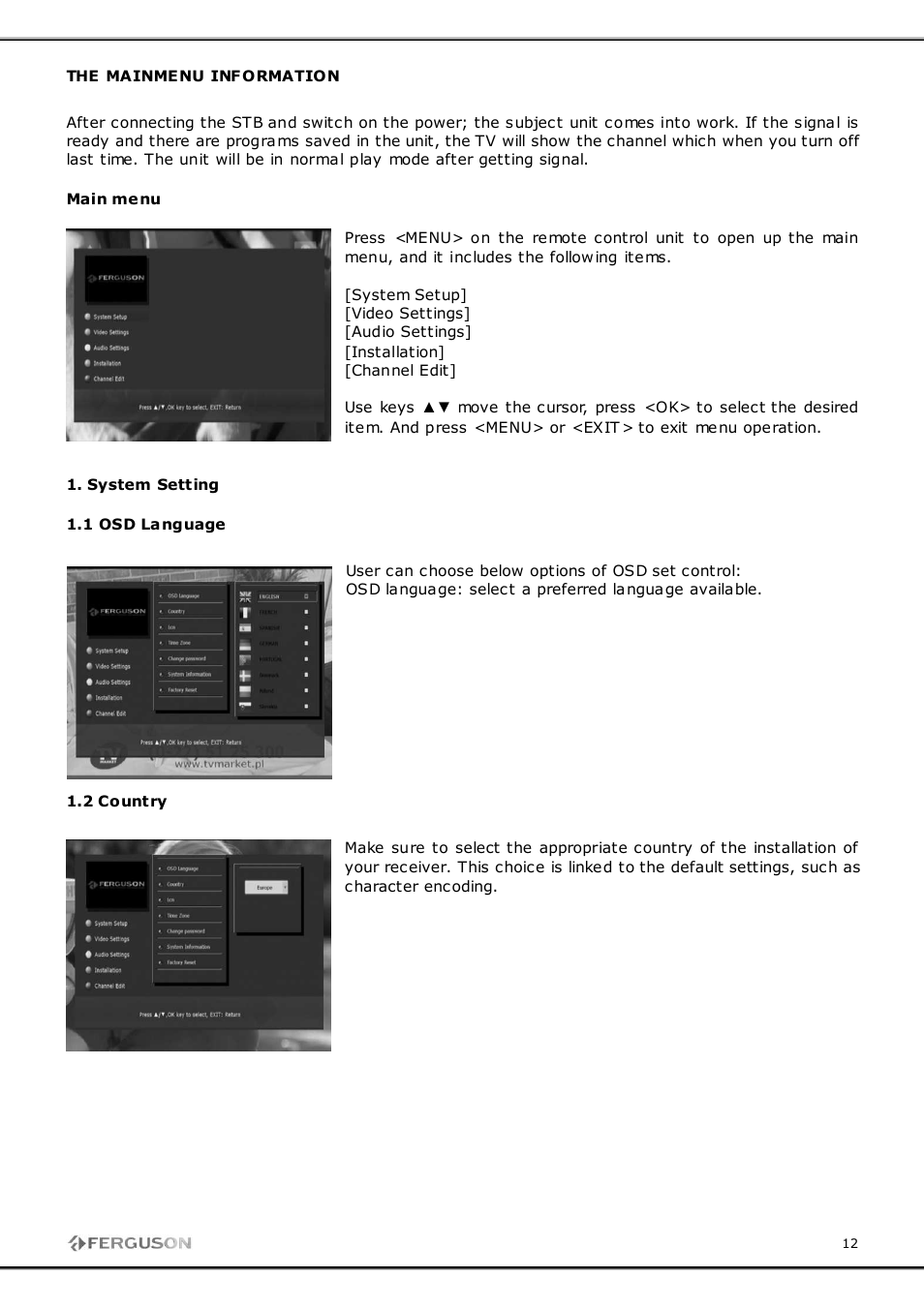 Ferguson FT-8100 HD User Manual | Page 12 / 18