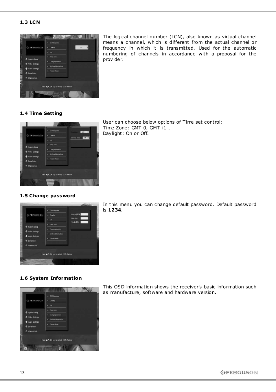 Ferguson FT-8100 HD User Manual | Page 13 / 18