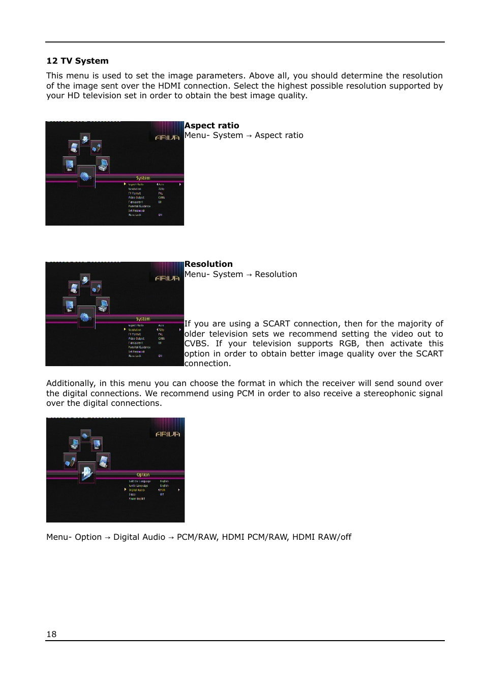 12 tv system | Ferguson Ariva T65 User Manual | Page 18 / 36