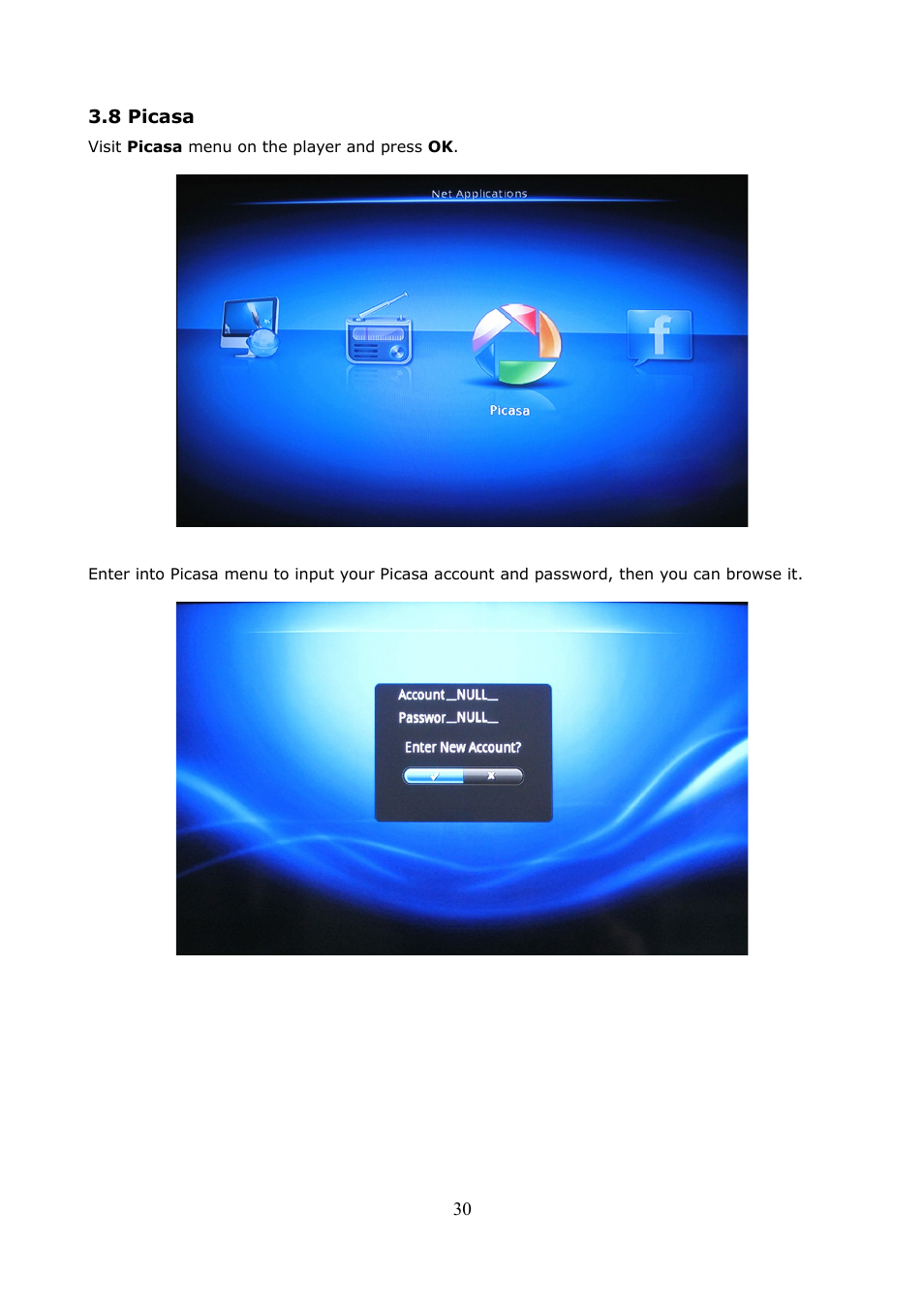 8 picasa | Ferguson Ariva HDplayer 200A User Manual | Page 30 / 46