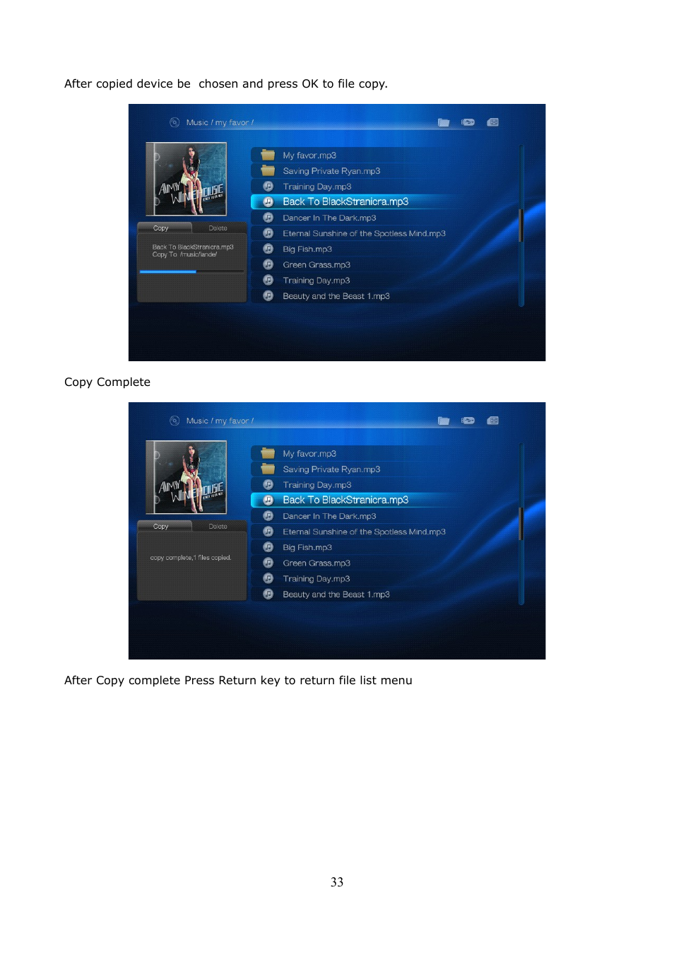Ferguson Ariva HDplayer 200A User Manual | Page 33 / 46