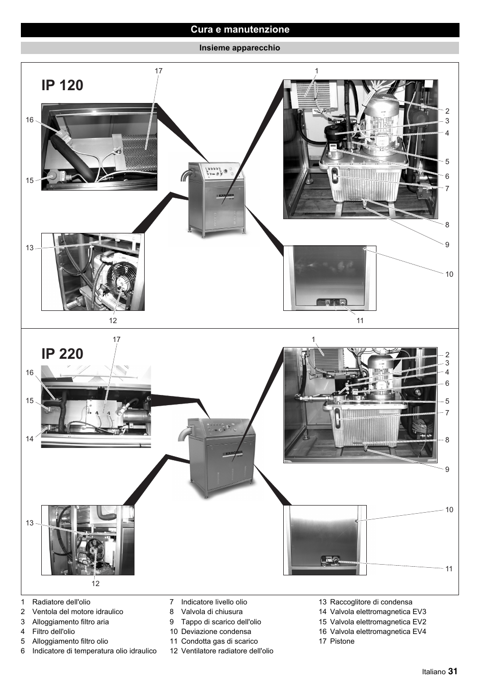 Cura e manutenzione | Karcher IP 120 User Manual | Page 31 / 157