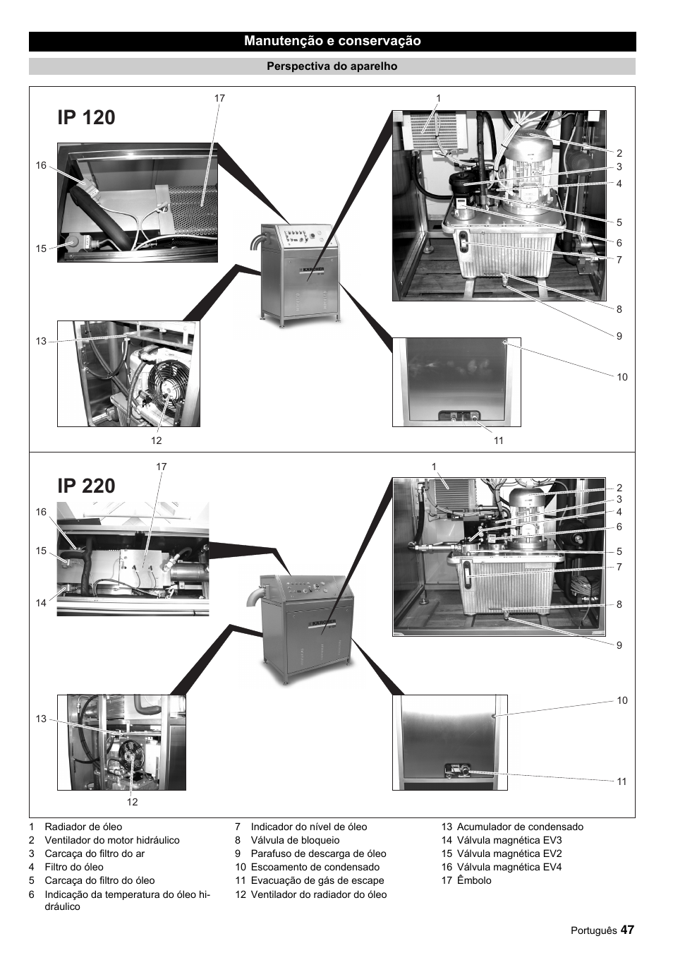 Manutenção e conservação | Karcher IP 120 User Manual | Page 47 / 157