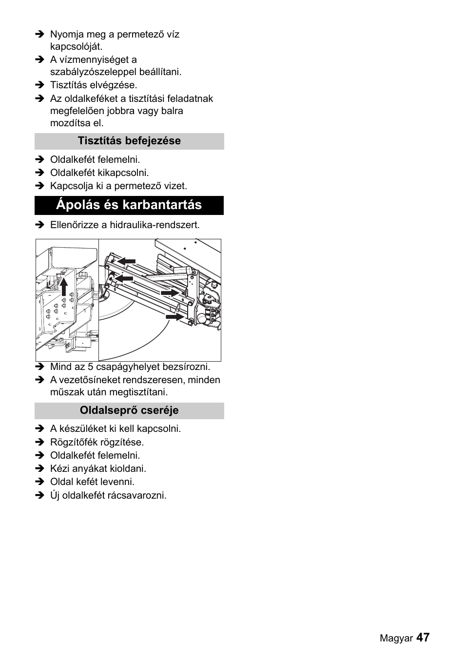 Ápolás és karbantartás | Karcher ICC 1 D Adv User Manual | Page 47 / 59