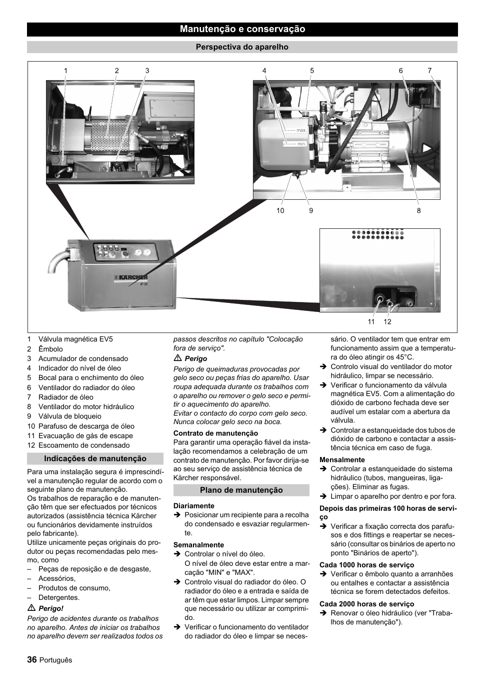 Manutenção e conservação | Karcher IP 55 User Manual | Page 36 / 117