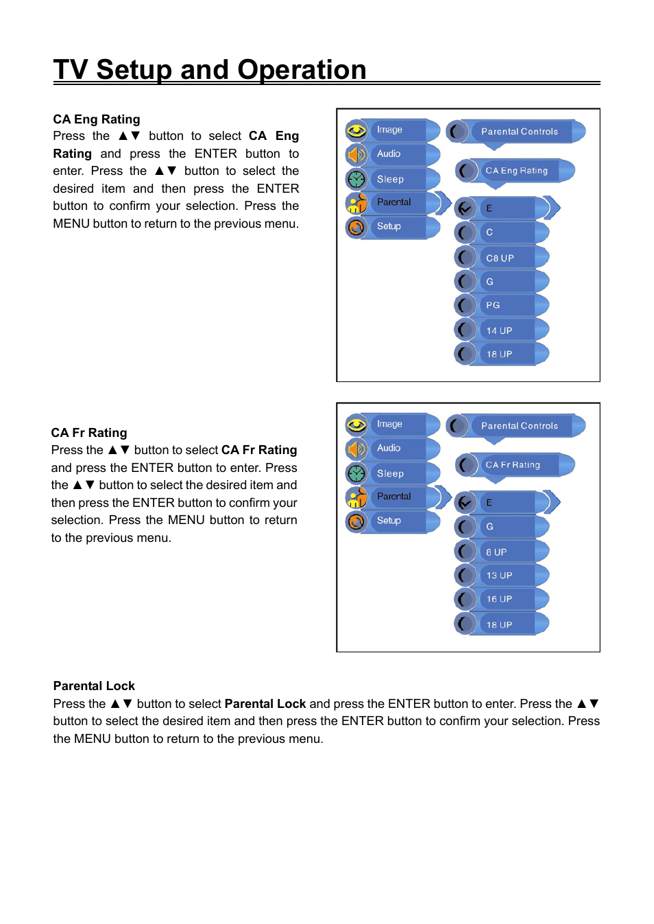 Tv setup and operation | Audiovox FPE2006DV User Manual | Page 24 / 44