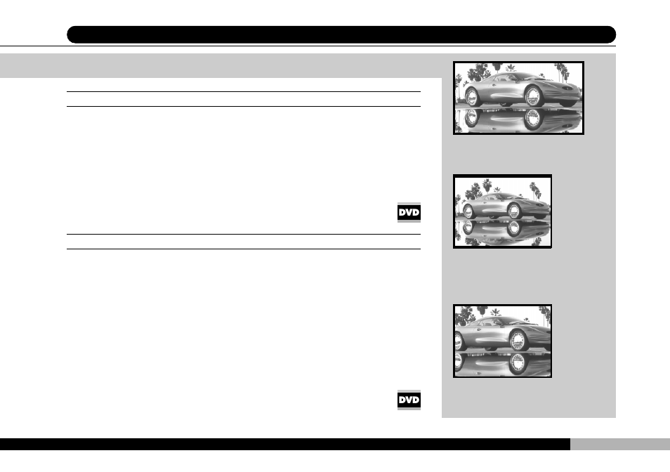 Audiovox PDVDNS User Manual | Page 53 / 87
