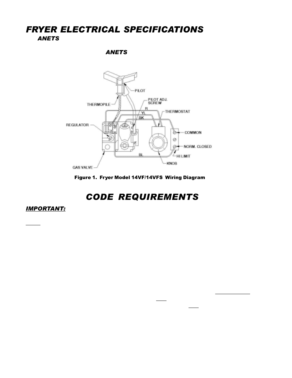 Code requirements fryer electrical specifications | Anetsberger Brothers 14VFS User Manual | Page 4 / 20