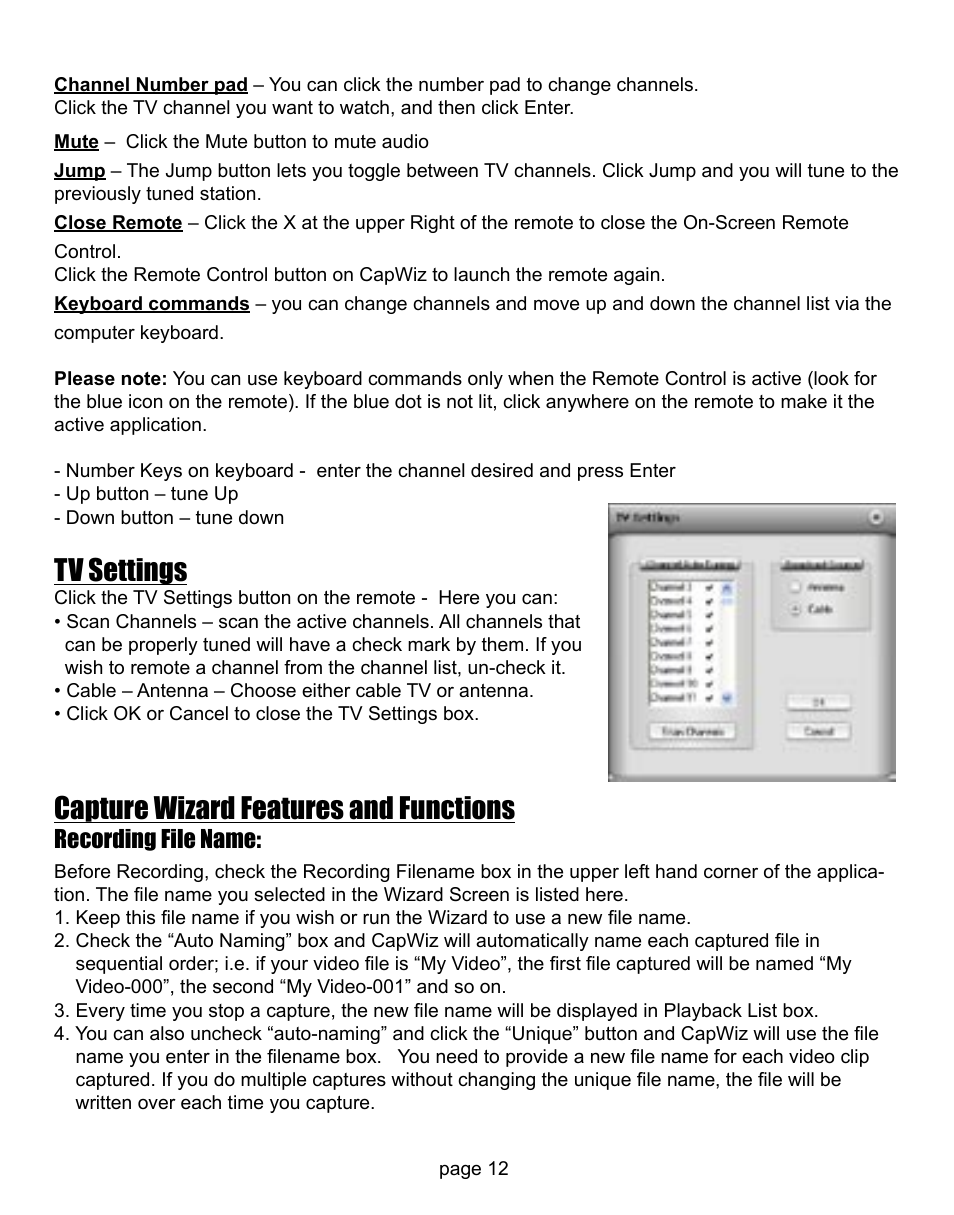 Tv settings, Capture wizard features and functions, Recording file name | ADS Technologies CD or DVD Hardware User Manual | Page 12 / 29