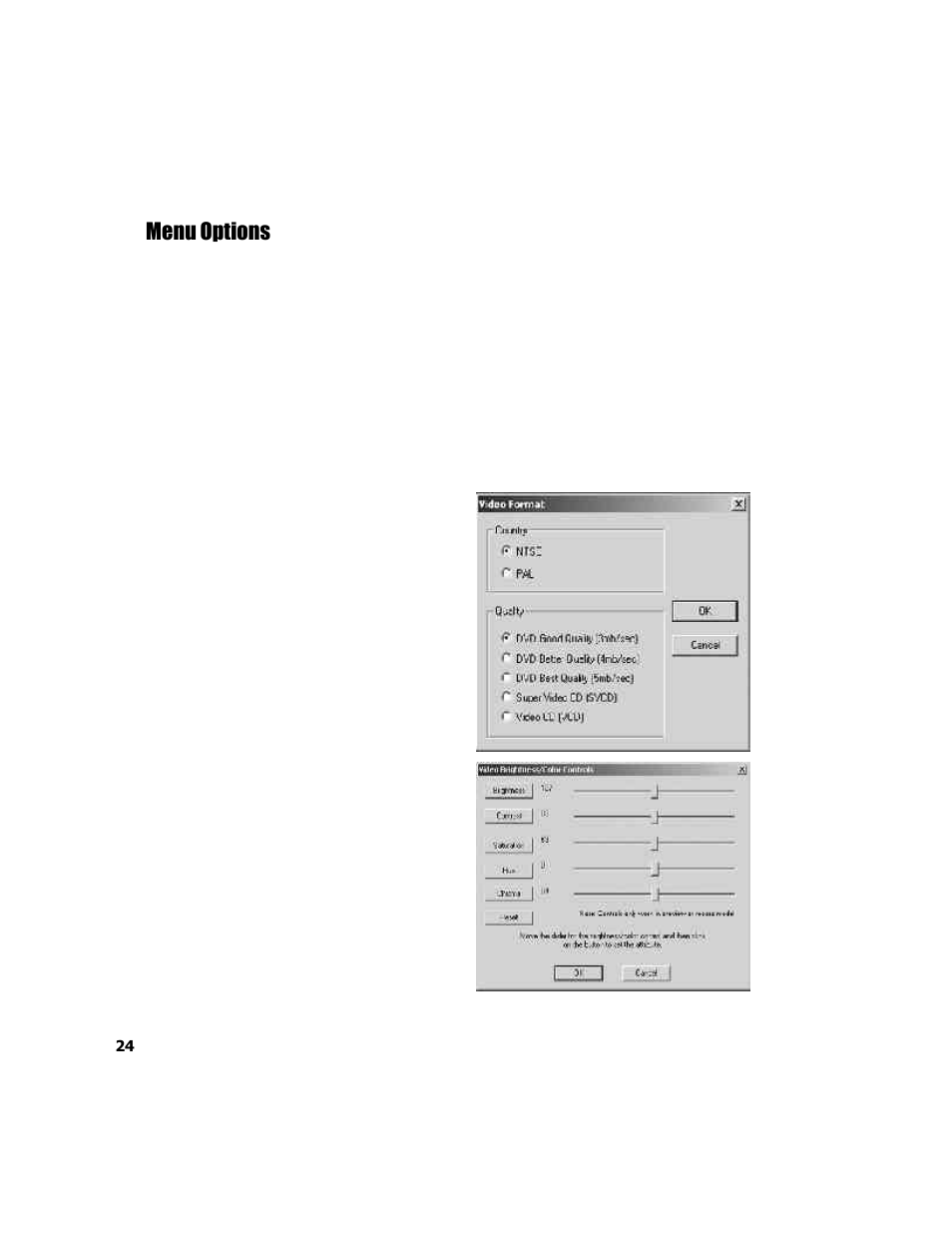 Menu options | ADS Technologies USB Instant DVD User Manual | Page 26 / 94