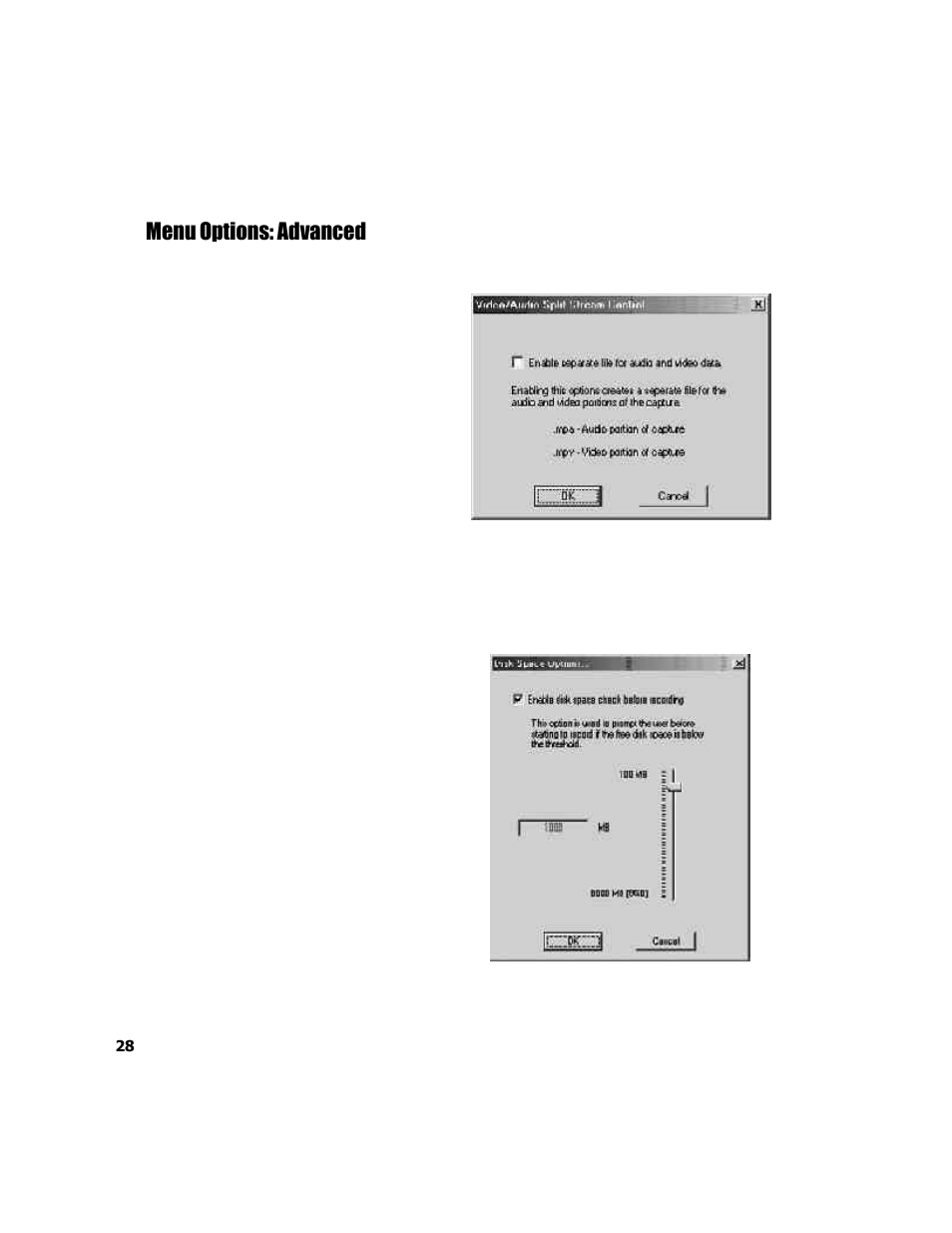 Menu options: advanced | ADS Technologies USB Instant DVD User Manual | Page 30 / 94