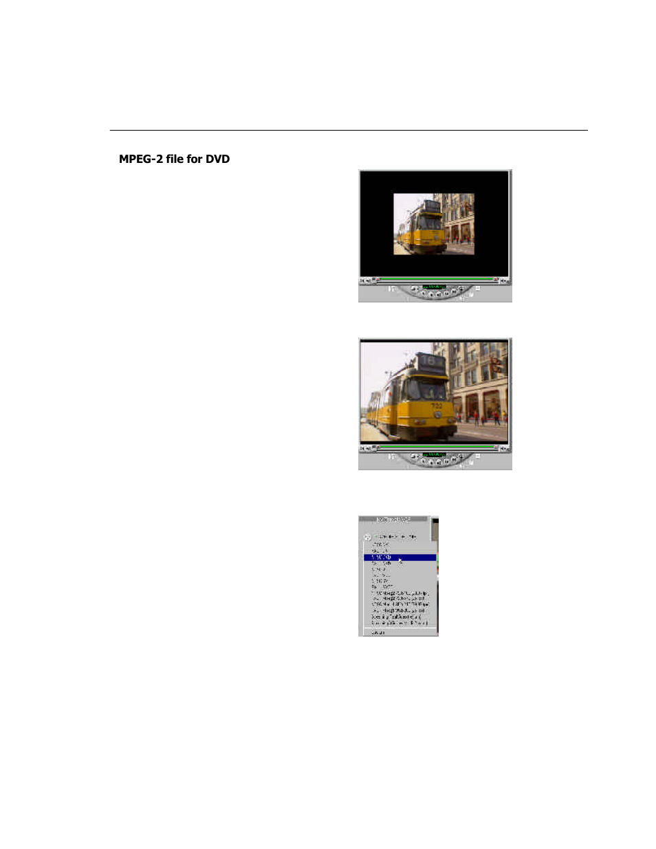 ADS Technologies USB Instant DVD User Manual | Page 81 / 94
