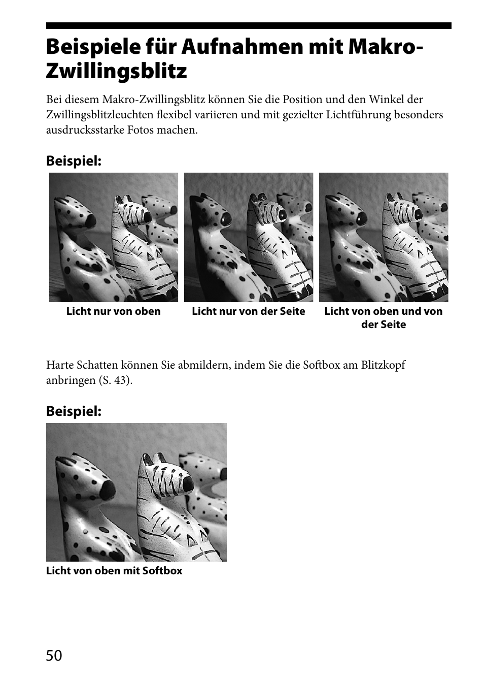 Weitere informationen, Beispiele für aufnahmen mit makro-zwillingsblitz, Beispiele für aufnahmen mit | Makro-zwillingsblitz, Beispiele für aufnahmen mit makro- zwillingsblitz | Sony HVL-MT24AM User Manual | Page 168 / 293