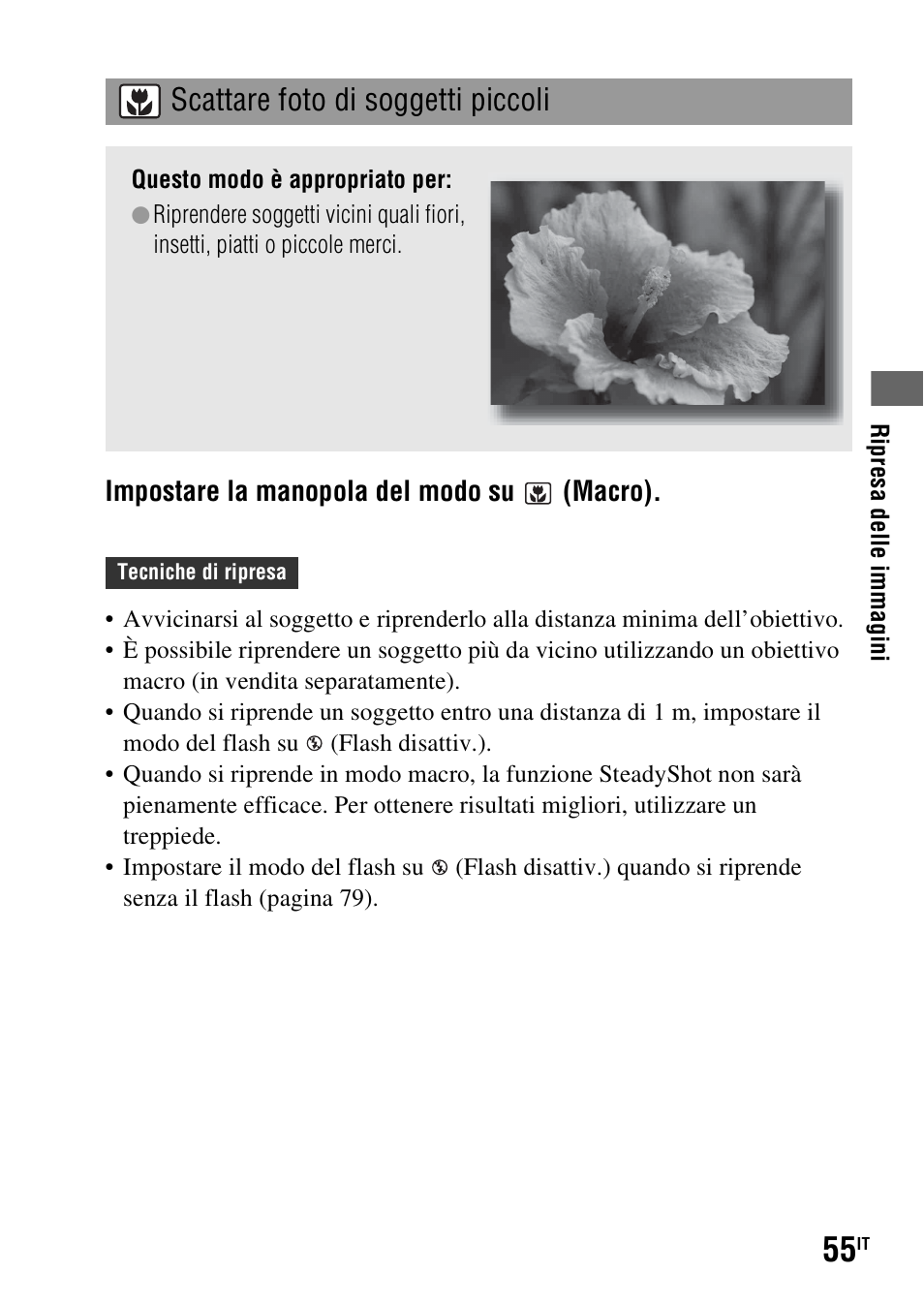 Scattare foto di soggetti piccoli, Impostare la manopola del modo su (macro) | Sony DSLR-A290 User Manual | Page 223 / 343