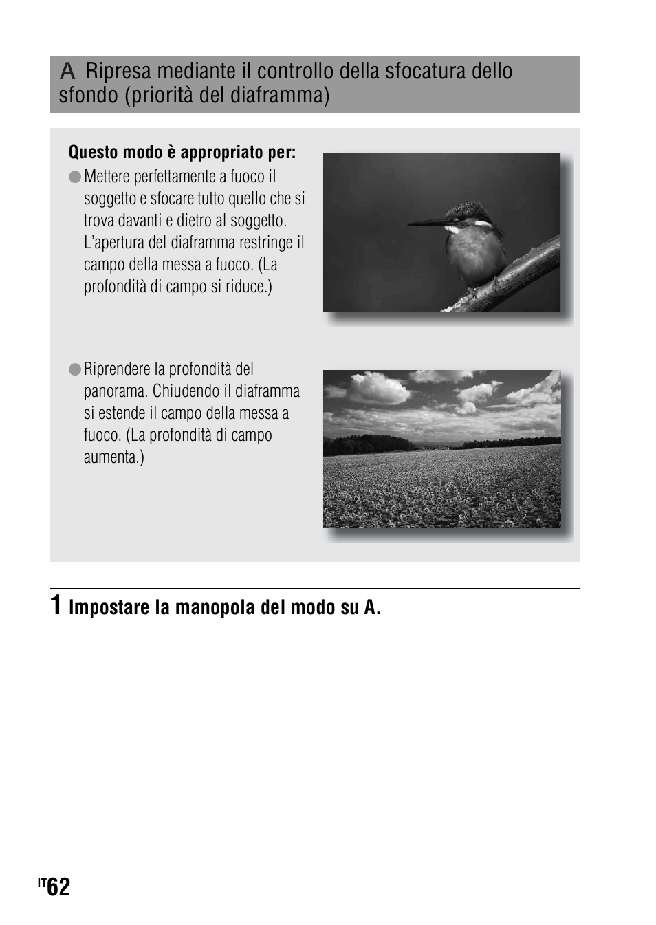 Sfondo (priorità del diaframma), Mma* (62) | Sony DSLR-A290 User Manual | Page 230 / 343